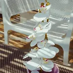 Hotel Sea Garden