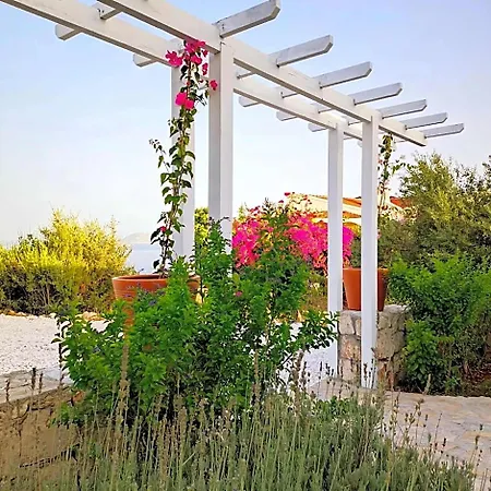Hotel Sea Garden